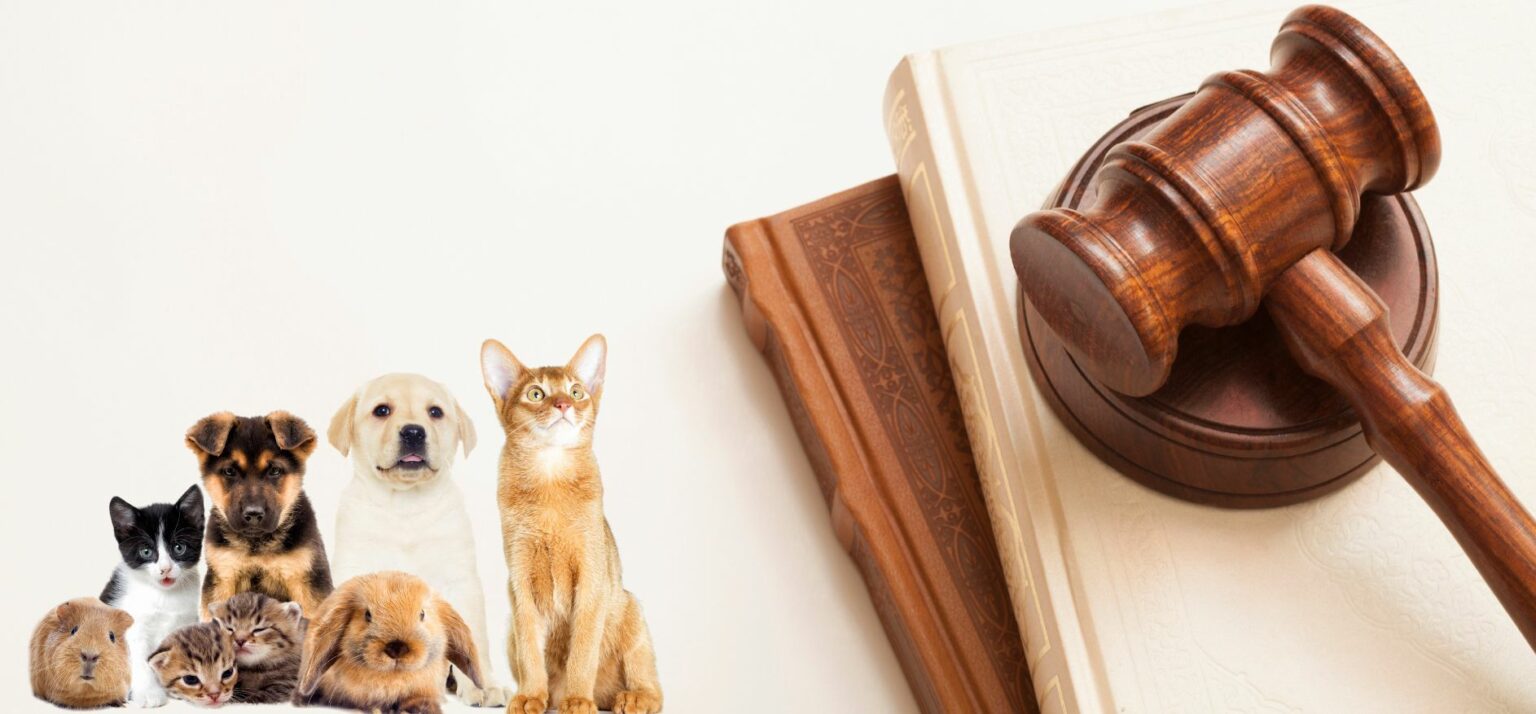 Association Française des Petsitters Professionnels