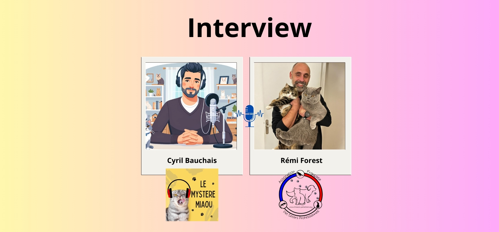 Podcast : Interview Rémi Forest.