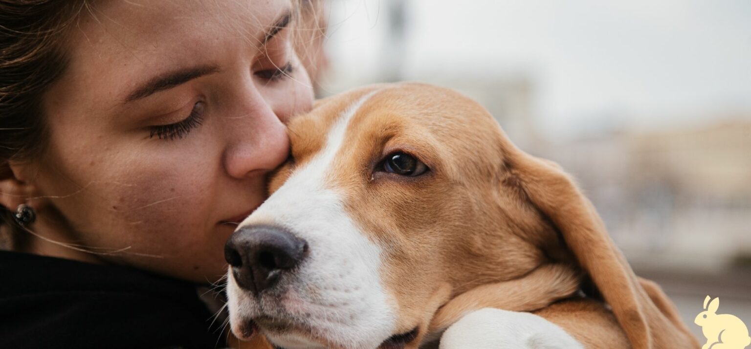 Le Métier de Petsitter – Association France Petsitters